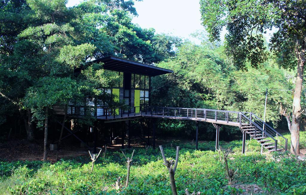 The Country House Chalets Гале Екстериор снимка